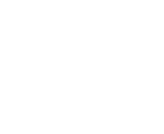 Luiza Helena Trajano   presidente do Conselho de Administra  o do Magazine Luiza  Foi respons vel pelo salto de inova   